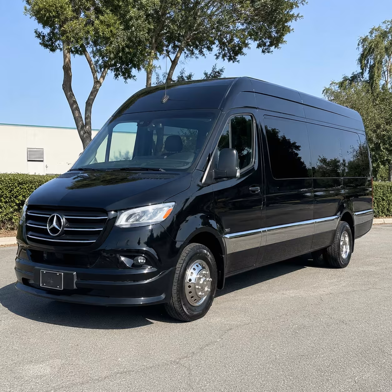 auburn sprinter limo rental